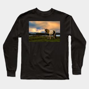 Shetland Pony Long Sleeve T-Shirt